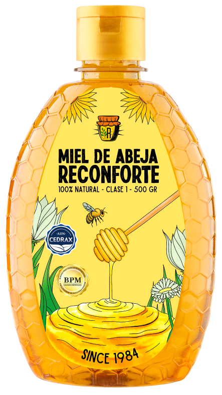 Miel-Clara-8715-web